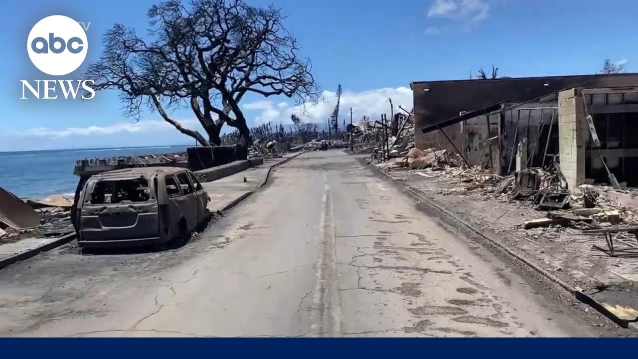 Maui wildfires death toll expected to rise amid search efforts | WNT