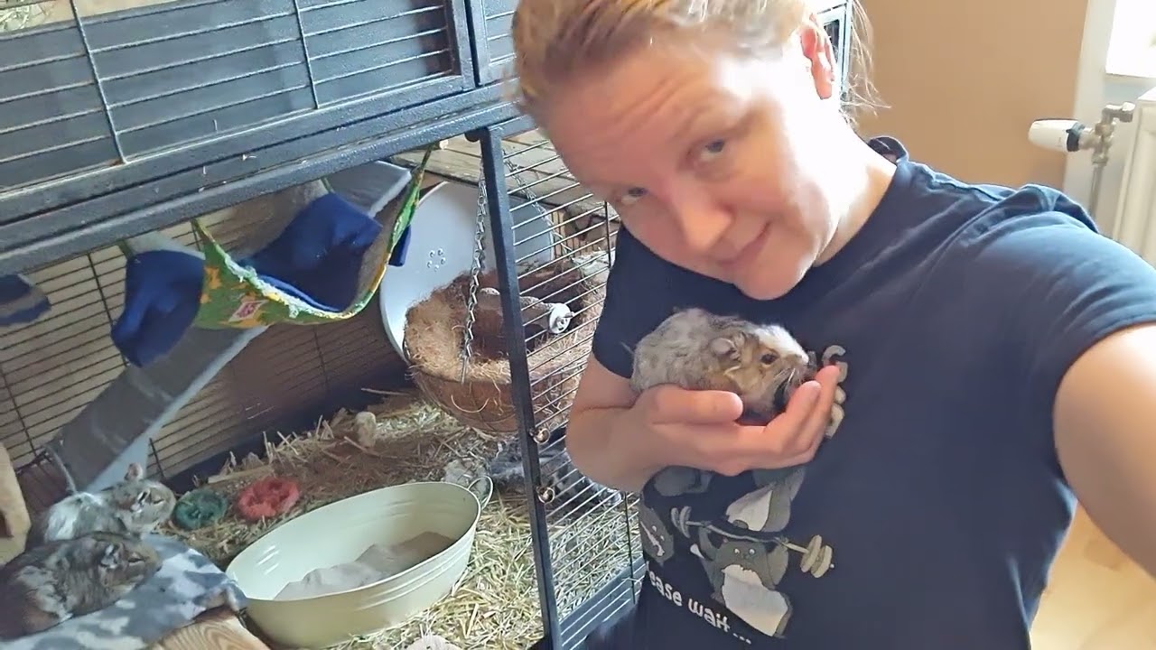 Me and the degus
