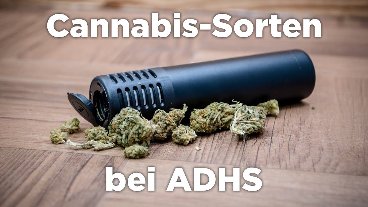 Cannabis-Sorten bei ADHS - Arzt erkl&auml;rt Therapieverlauf