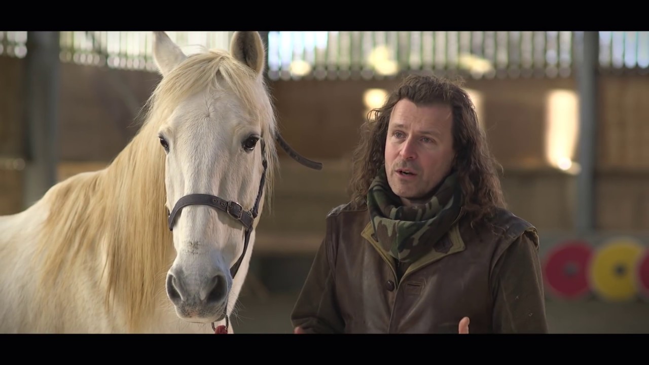 Why Medieval Warhorses Required This Specific Training