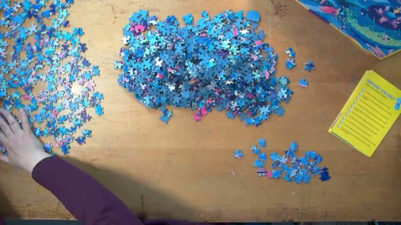 Puzzle Cafe: Beyond the Kelp Timelapse