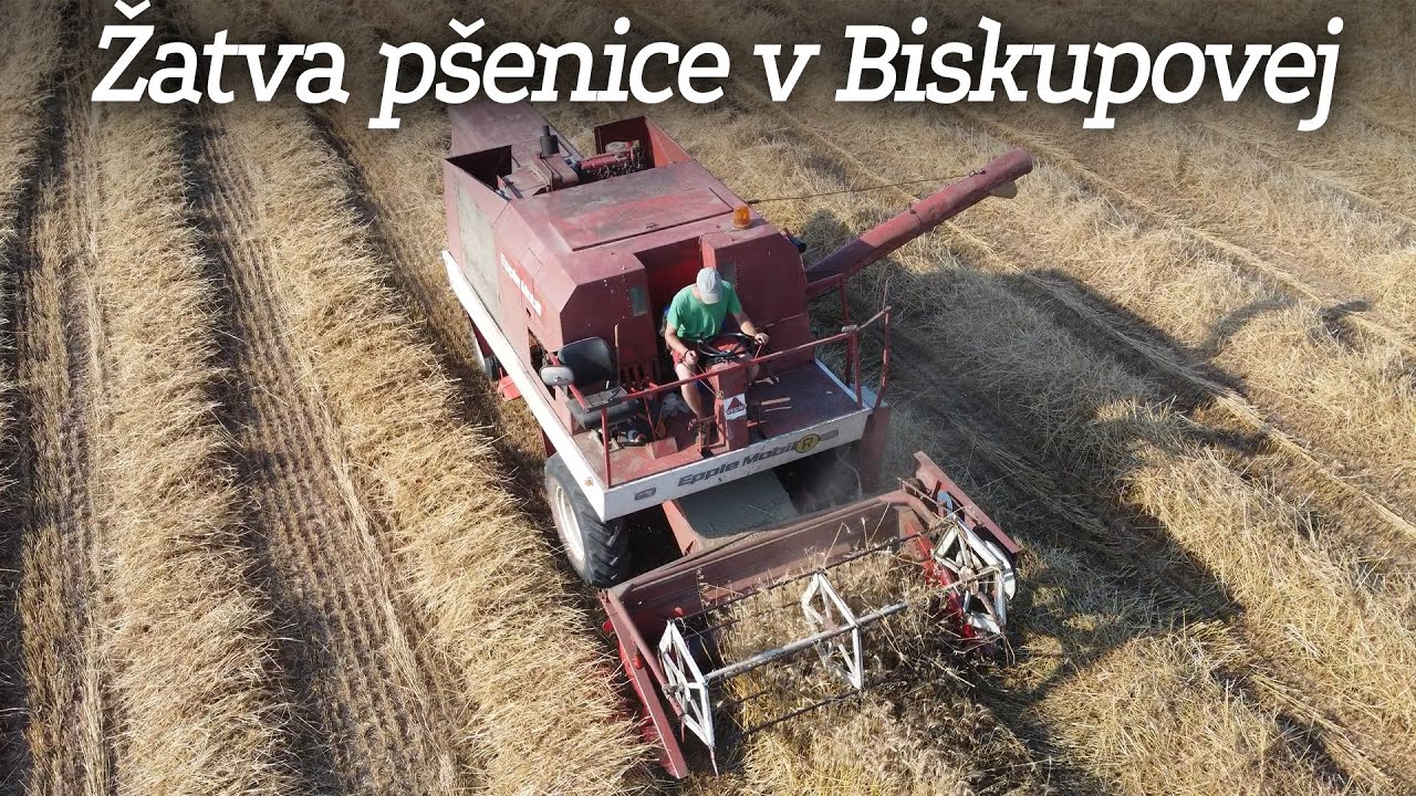 Žatva pšenice 2023 s Epple Mobil EM940 Real Sound | Biskupová