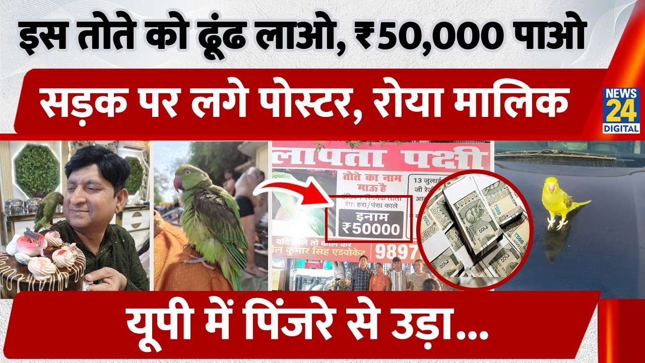 ₹50,000 Reward for Missing Parrot in Agra | Mau Parrot Missing | Viral News