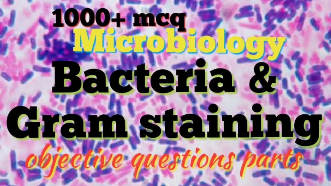 Bacteria and Gram staining 4 mcq in microbiology