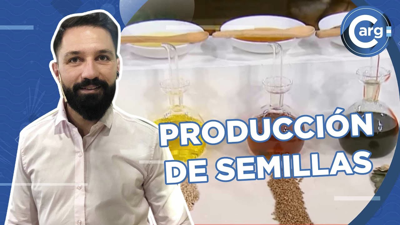 CU&Aacute;LES SON LAS PROPIEDADES DE LOS ACEITES DE SEMILLAS