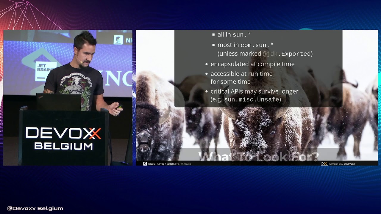 To JAR Hell And Back   A Live Migration to Java 11 by Nicolai Parlog