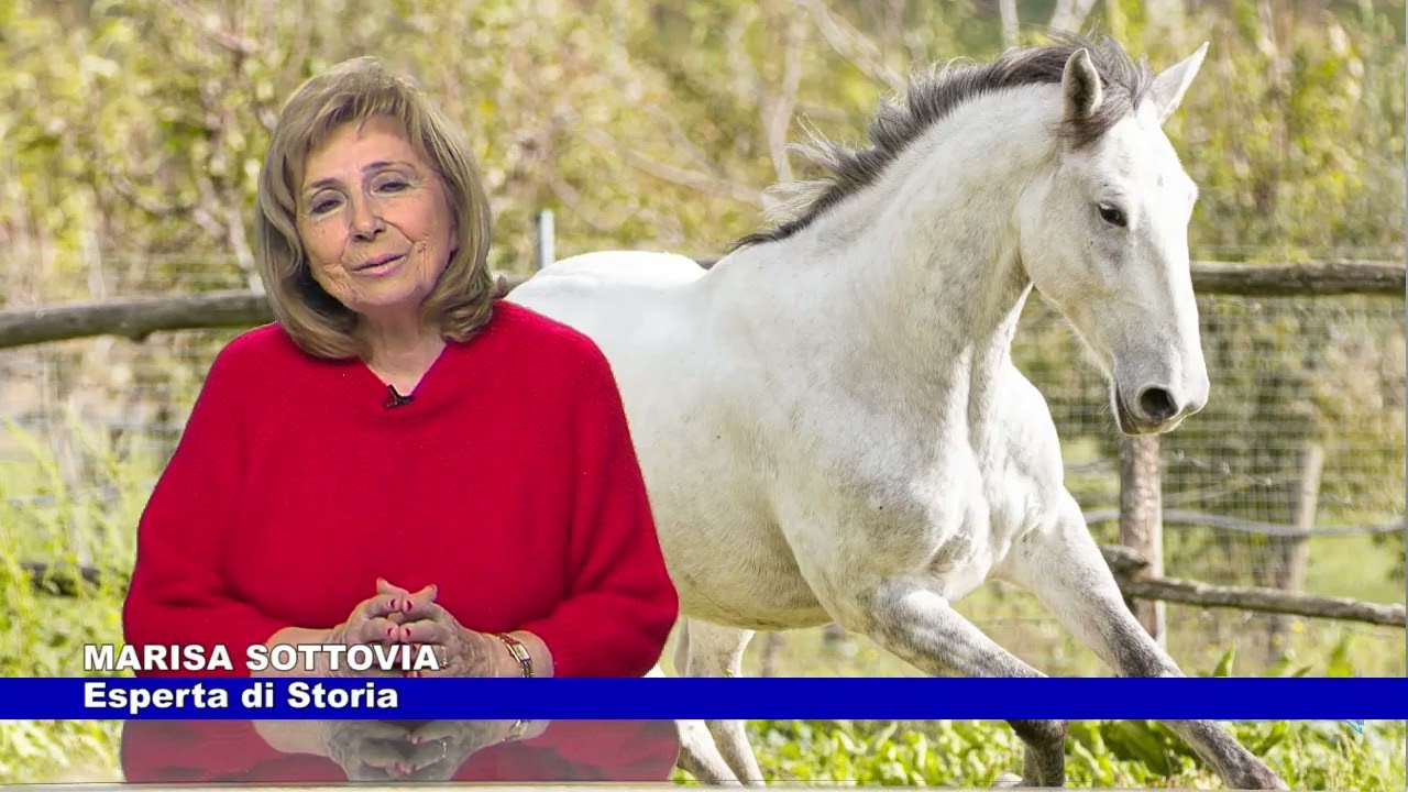 Storia dei CAVALLI LIPIZZANI famosi per la bellezza, a cura di Marisa Sottovia 15.12.2023