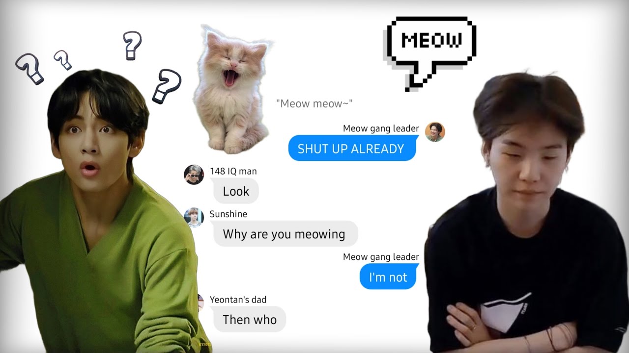 BTS TEXTS • Yoongi adopts a Cat! 🐱