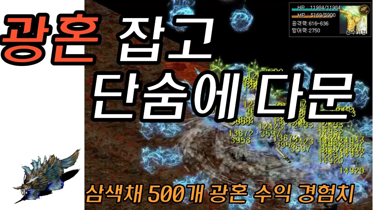 거상 광혼 사냥 수익 경험치 삼색채 500개