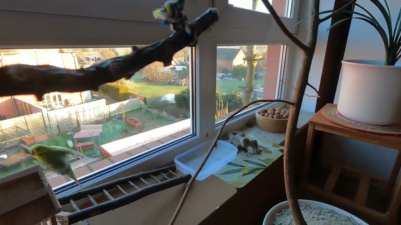 Neues Projekt