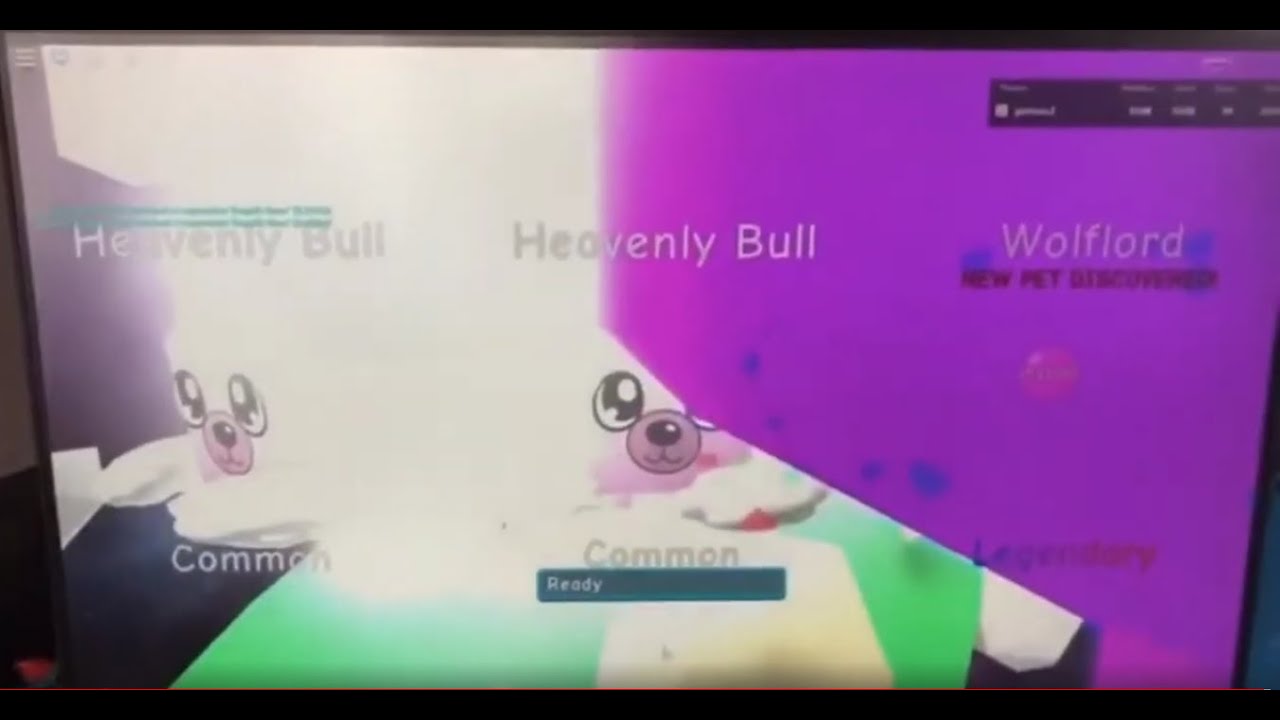 All secret pets hatched on camera (April 2020)