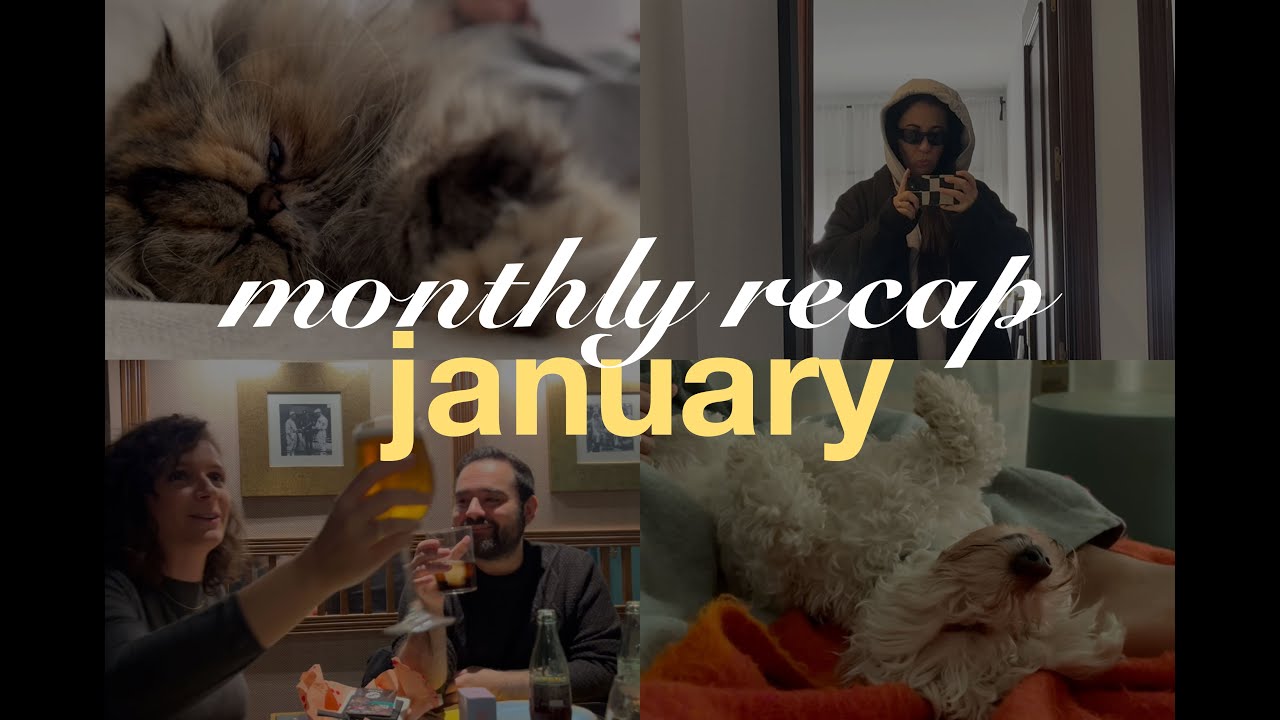 January recap - Monthly vlog