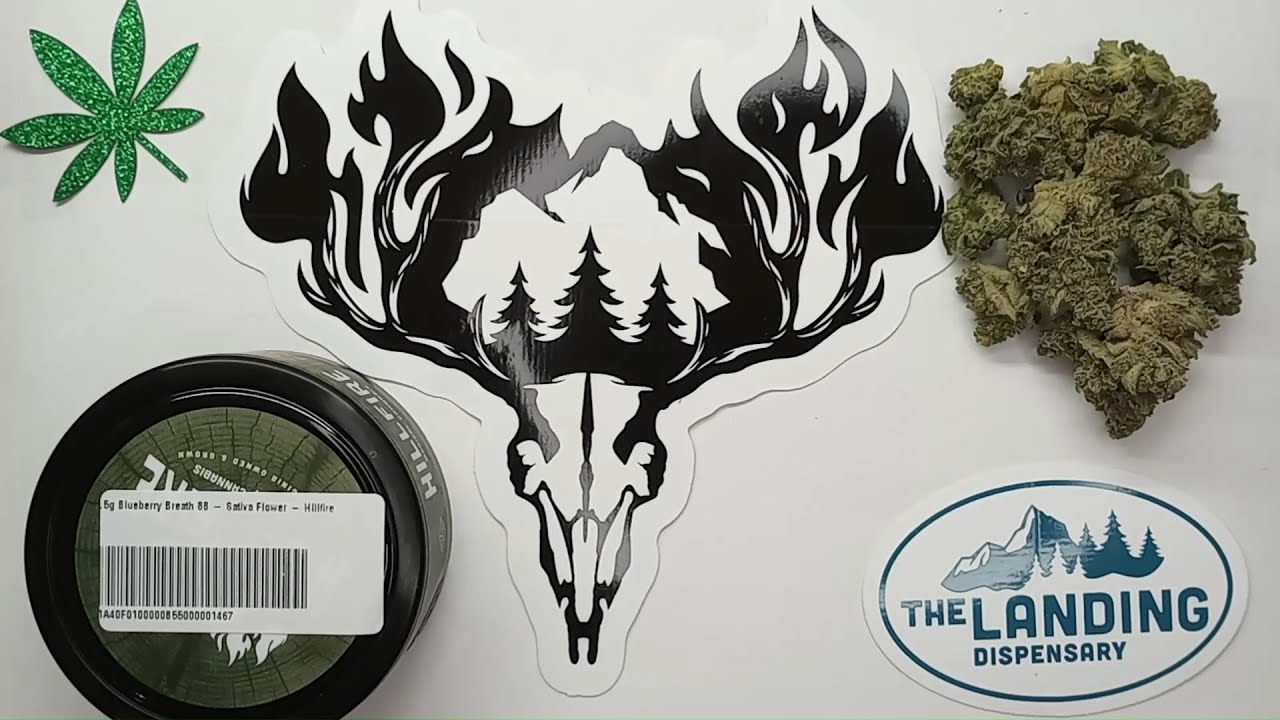 Hillfire Blueberry Breath 88 Flower Review