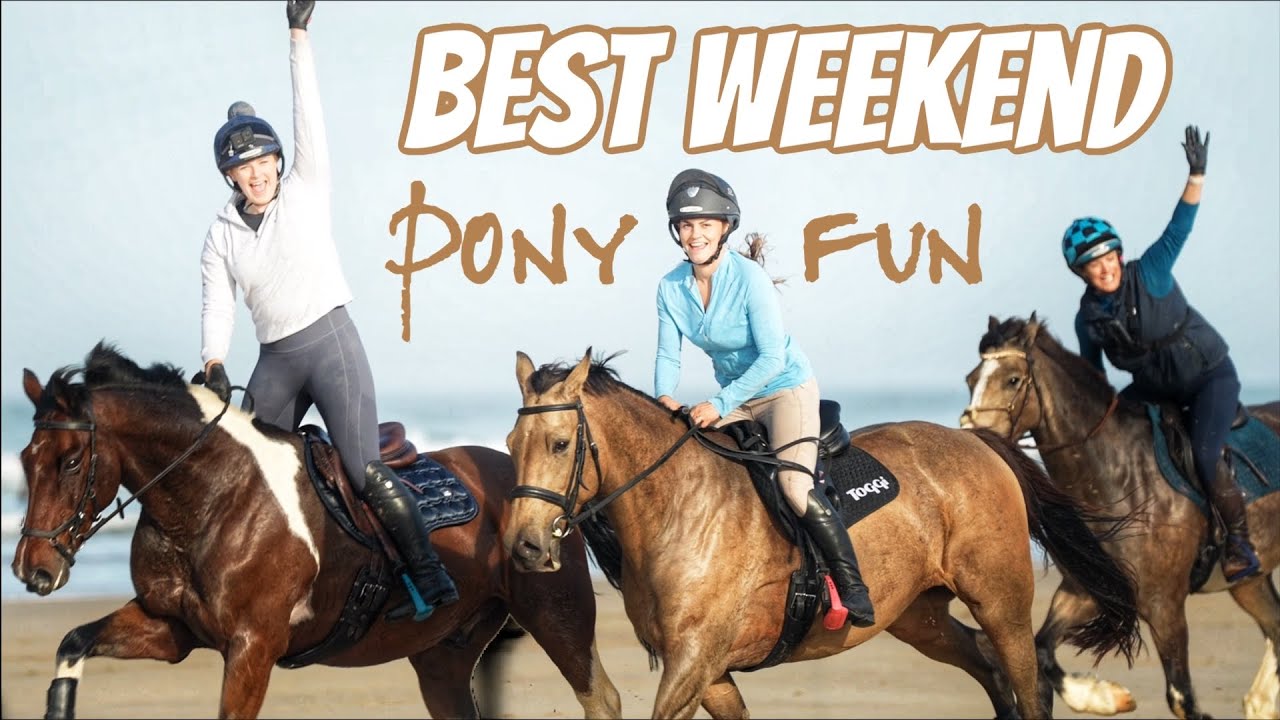 Elphick Event Ponies FINALLY comes to Cornwall for some PONY FUN