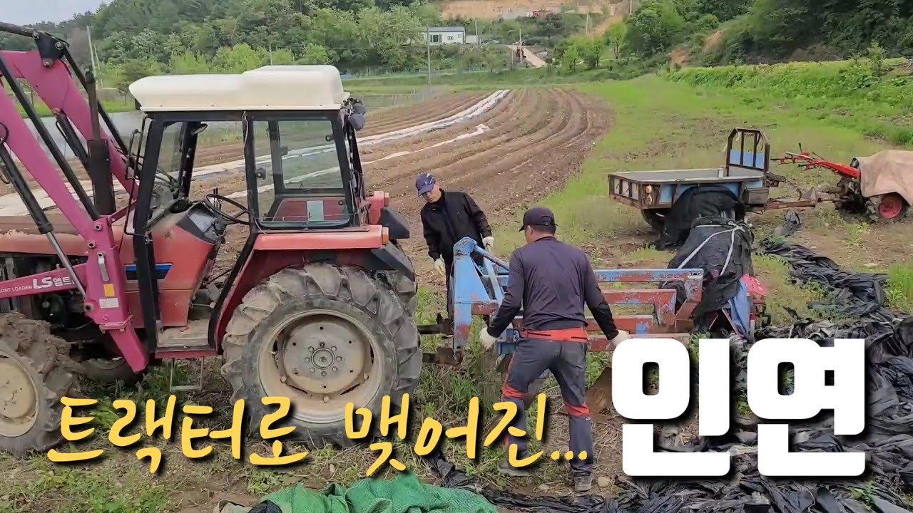 고장나서 방치된 트랙터 수리후 다시 주인분께...