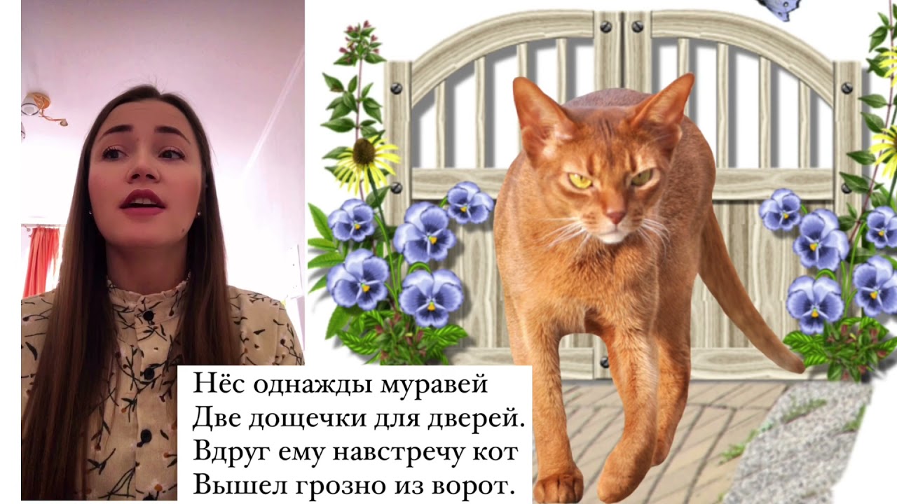 Не обижайте муравья