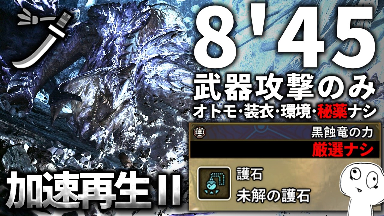 【秘薬不要】フリーチャレンジクエスト 歴戦王アルシュベルド 太刀のみ討伐 8'45【モンハンワイルズ】