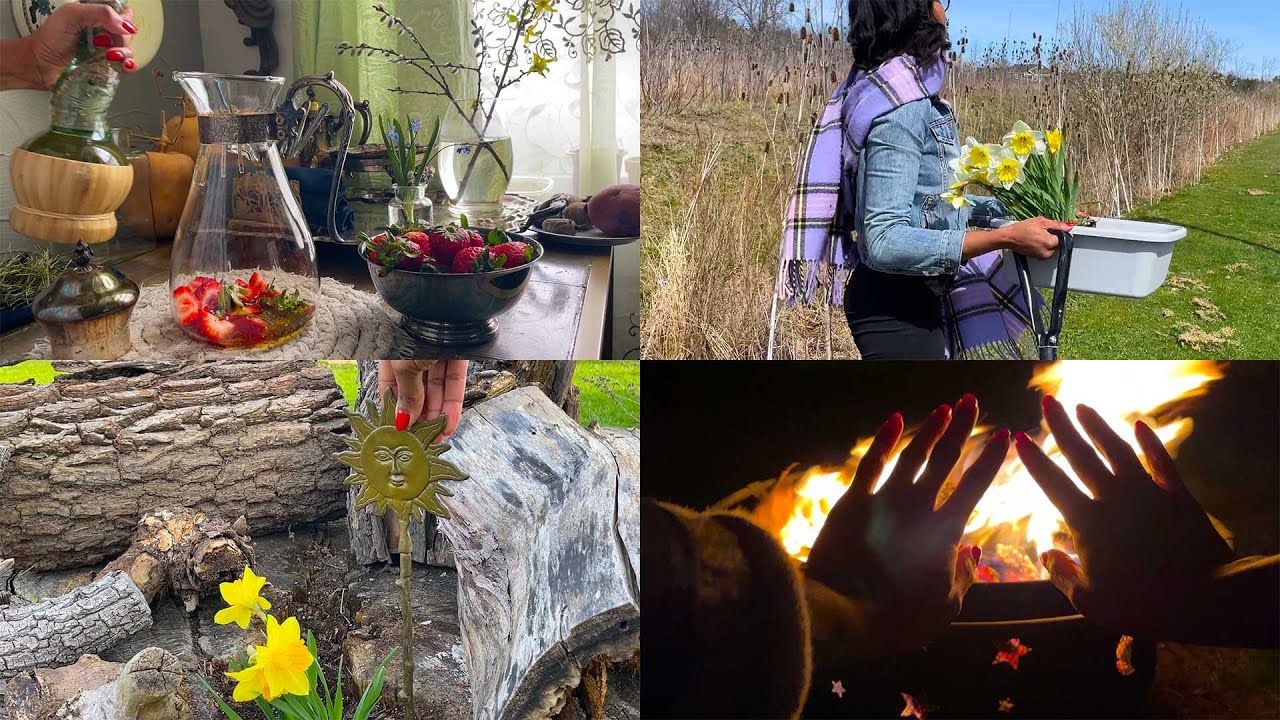Lunar Gardening 🌒 Beltane Bonfire 🔥 May Wine Recipe 🪴 Foraging & Cooking 🧄 Late April 2025 Vlog