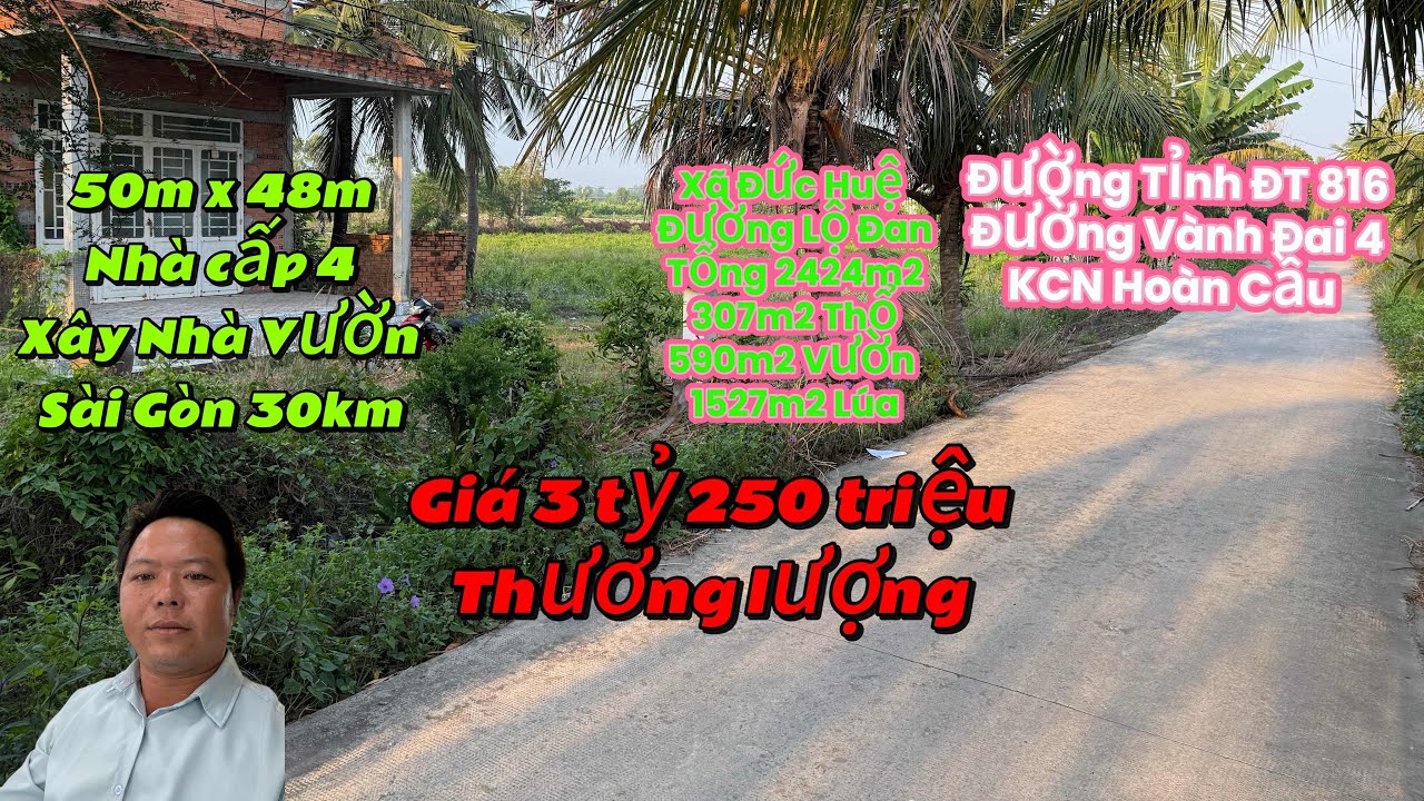 Tập536:Đường Lộ Đan(5 Tấn),Nhà Vườn Long An,Xã Đức Huệ,Tổng 2424m2-có 307m Thổ-590m2 Vườn-1527m2 Lúa