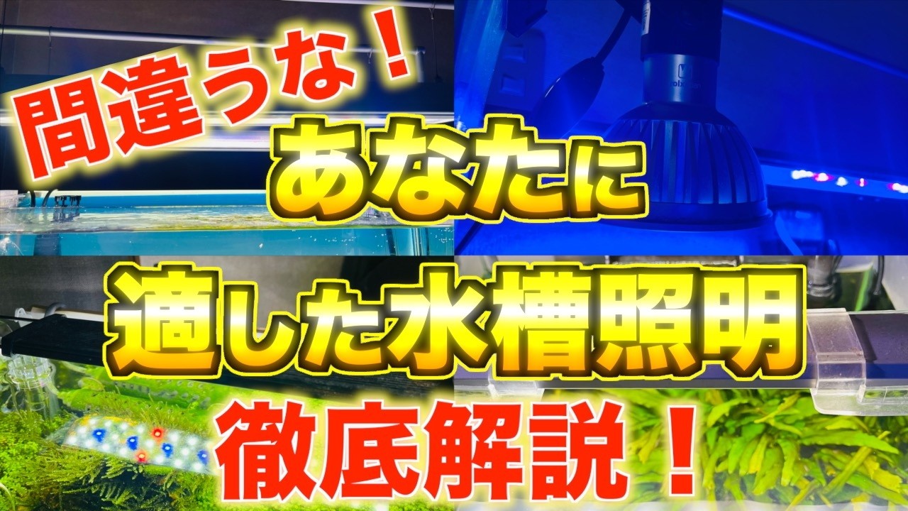【照明】あなたに適したLEDとは！？LED照明について分かりやすく解説！