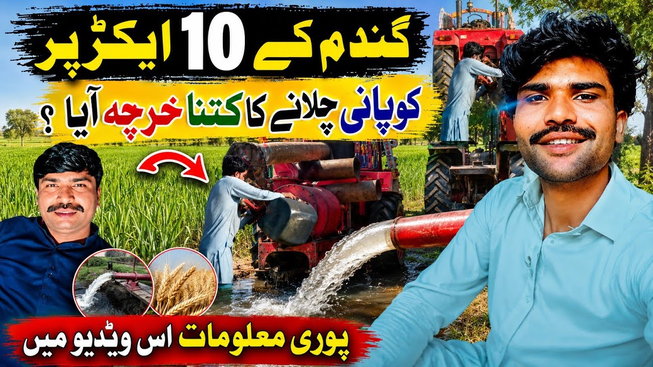 Gandam Ke Khet 10 Acrs Ko Pani Pelani Ka Kitna Kharcha Aya Hai 😛| Dekhen As Vlog me | Javed Solangi