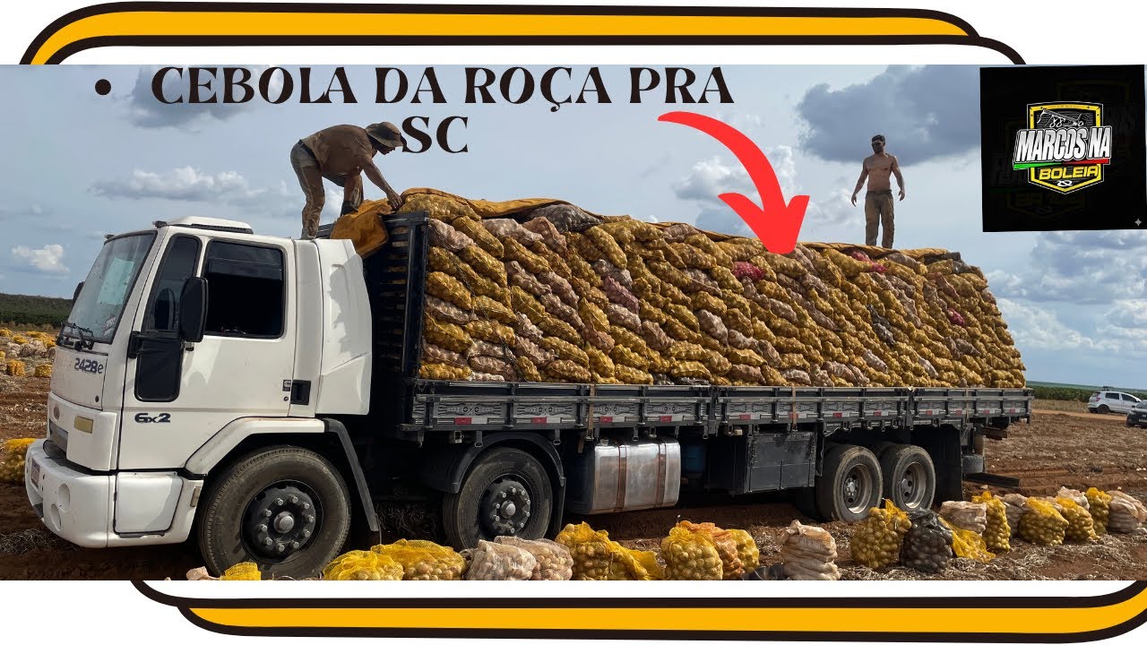 Carregamos a última carga de cebola pro de Perdizes-MG… rumo ao Santa Catarina  vídeo de 15/08