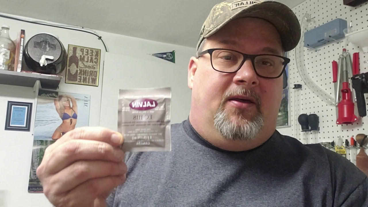 HOW TO MAKE A YEAST STARTER