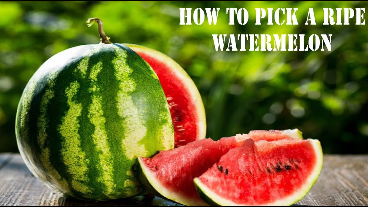 How to pick a ripe watermelon
