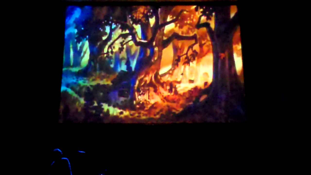 Pogo live: Lincoln Theater 5