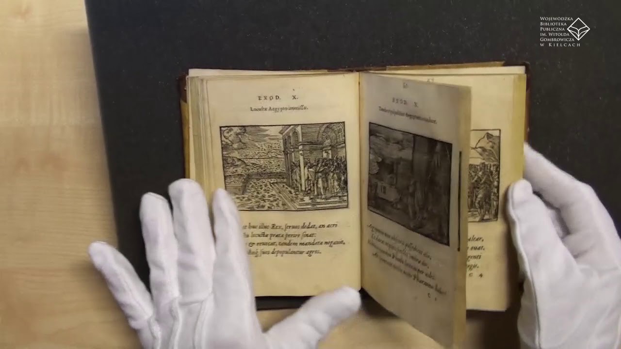 Francuska biblia obrazkowa