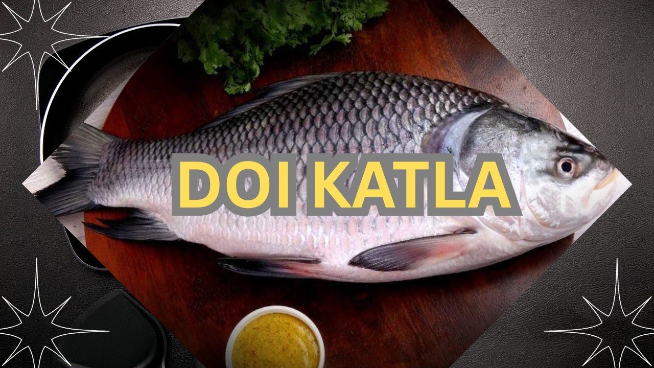 Doi katla,bengali fish curry | দই কাতলা 