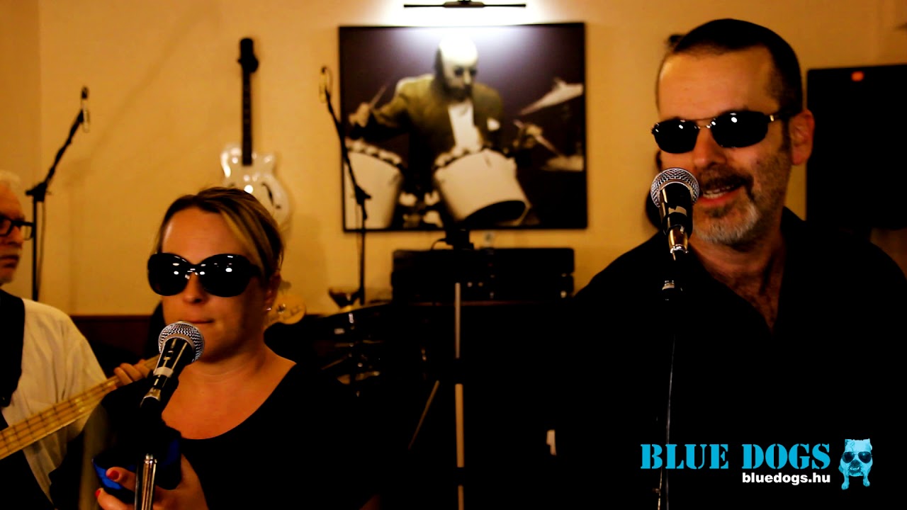 Evil Ways - Santana - Blue Dogs cover