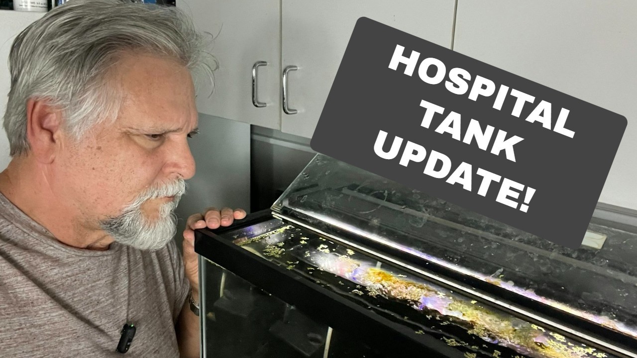 Fish Room ER - *Hospital & Quarantine Tank Updates*