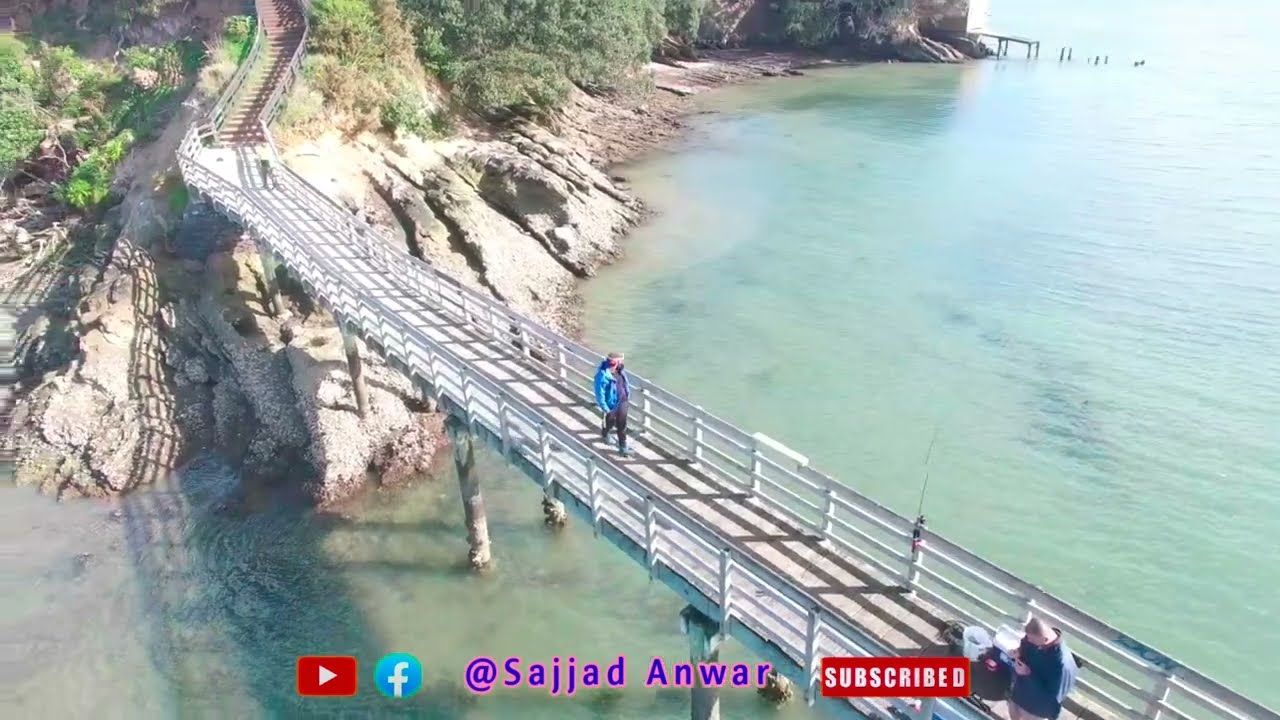 Ponsonby Auckland |  Ponsonby Wharf Auckland New Zealand. 4K Drone view .