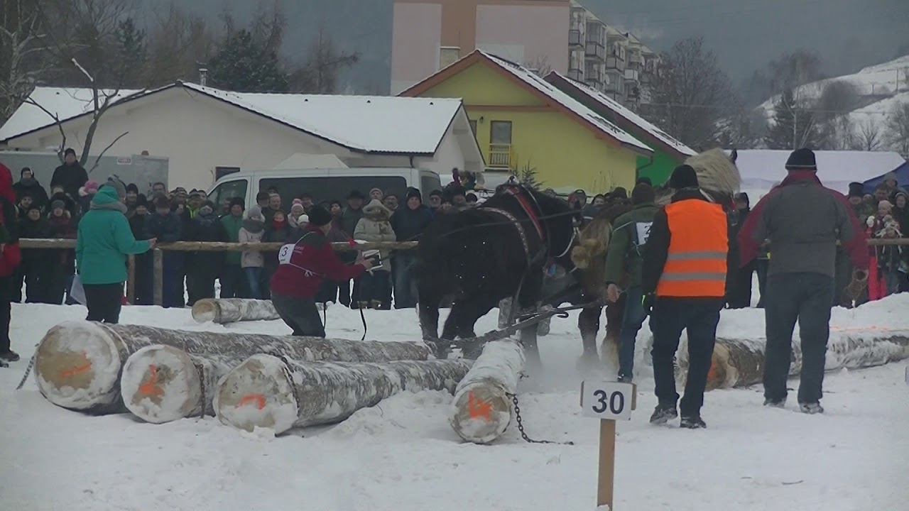 Furmanské preteky Hriňová 2019 Slovakia