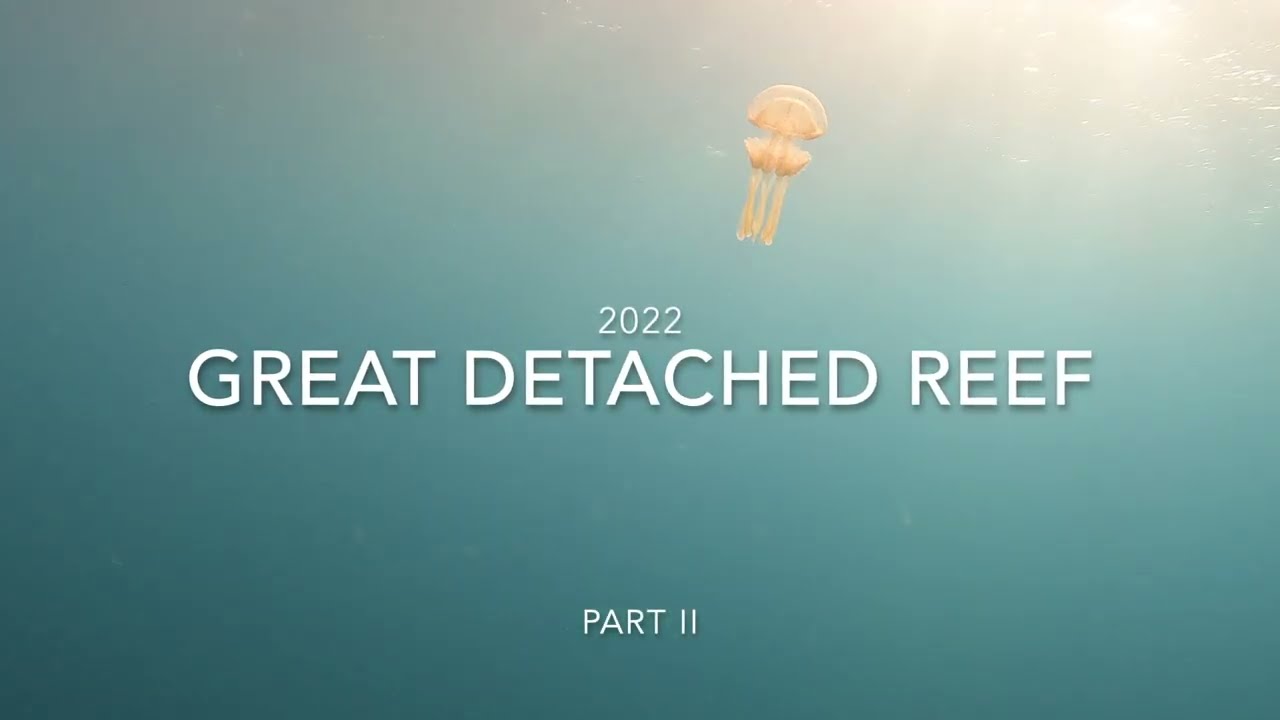 Great Detached Reef Part 2