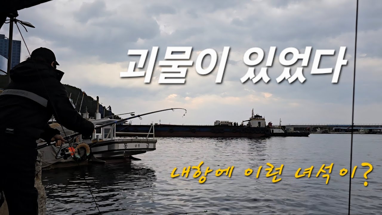 대물이 사는 내항 여기는 어디? #원투낚시 #강릉 #금진 