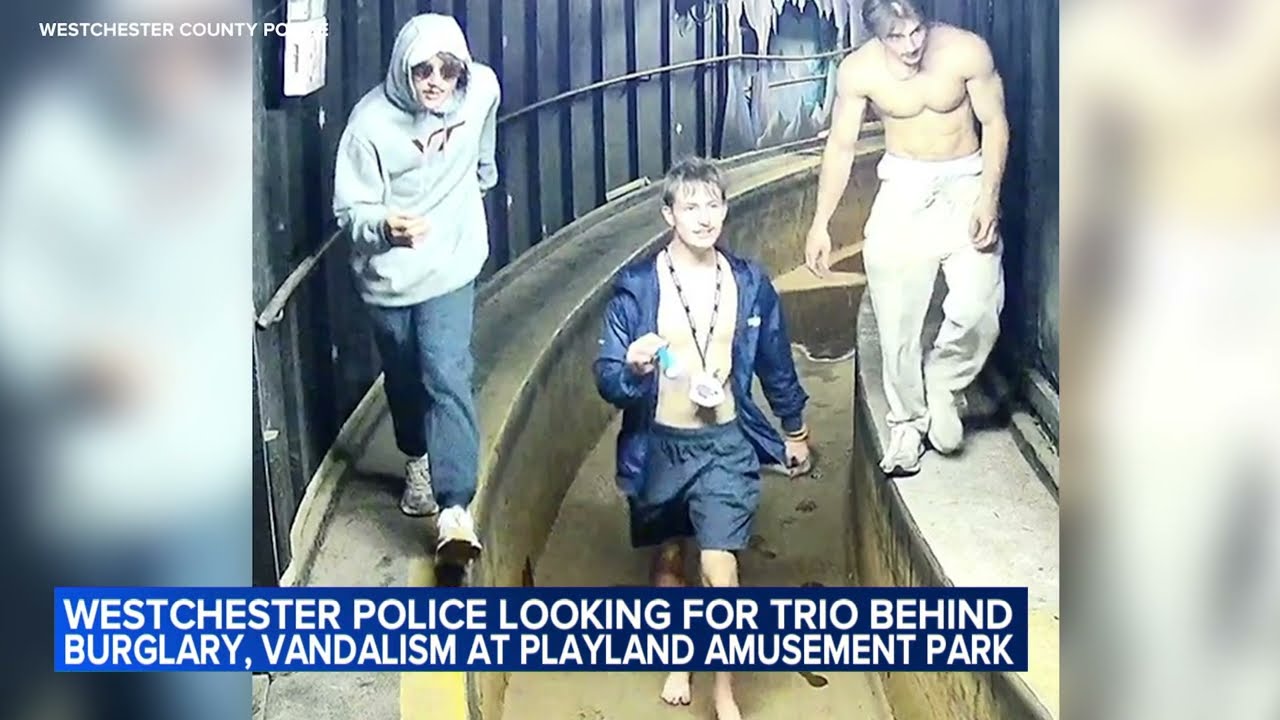 Playland Park vandalized, 200 stuffed animals stolen by trio: police