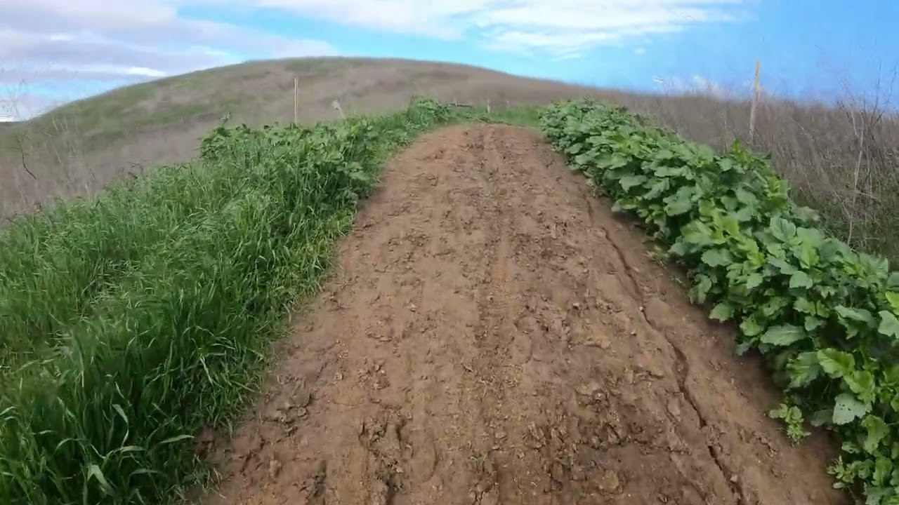 4K POV Nature Walking Tour – Peaceful Nature Walk