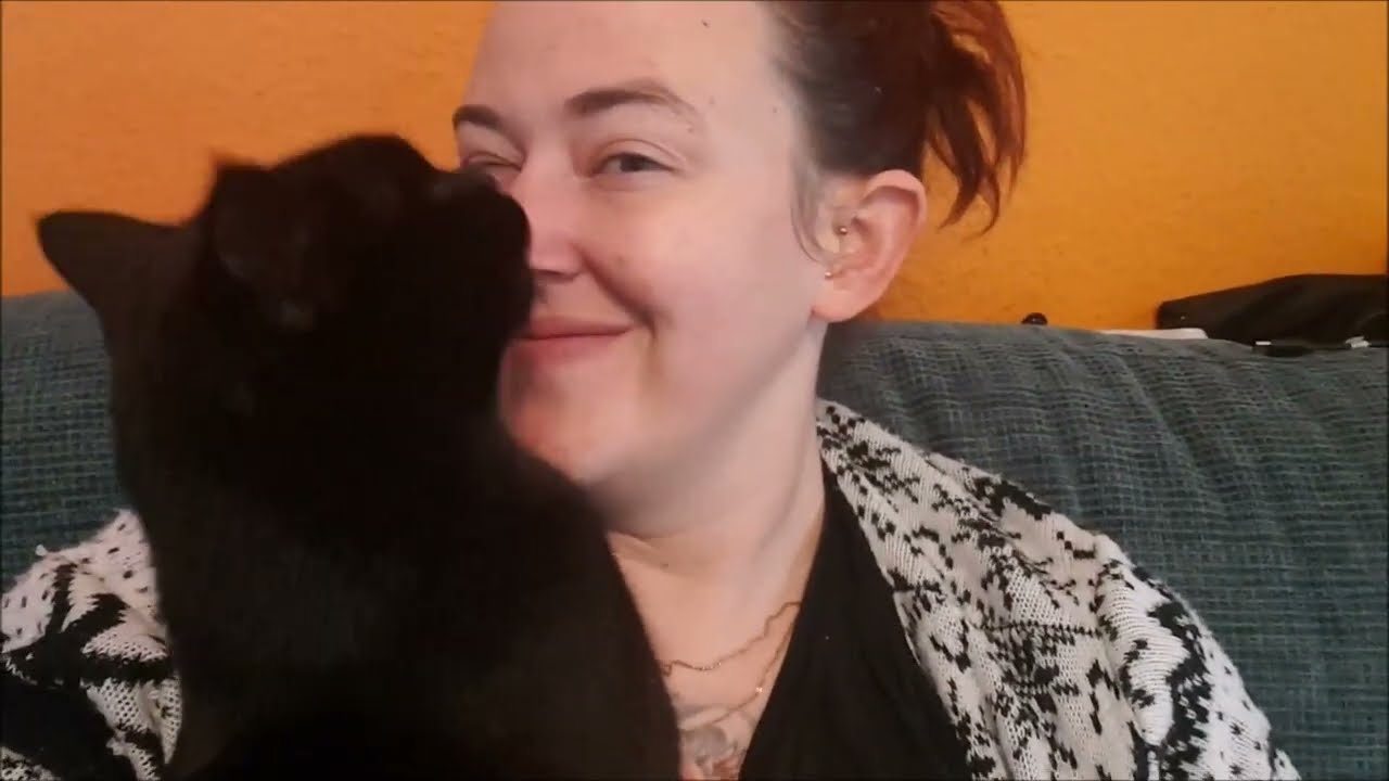 Wochen-Vlog #11 (26.09. - 02.10.22) - Weiter geht's mit der Erbschaft und viel Katzengeschmuse