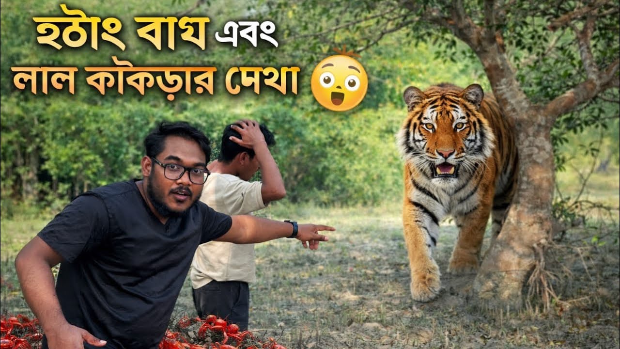 সুন্দরবনে সুন্দর মুহূর্ত সুন্দরবনে যাবার পথে আবার লাল কাঁকড়ার সন্ধান 
