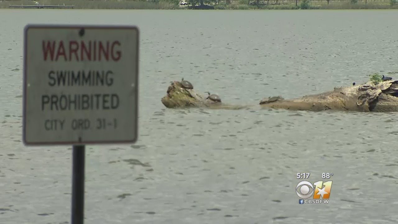Reader's Digest Names White Rock Lake One Of World's Most Haunted