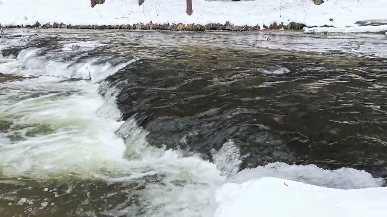 Rezerwat przyrody Nad Tanwią zimową porą.#roztocze #lubelskie wędrówkipopolsceinietylko