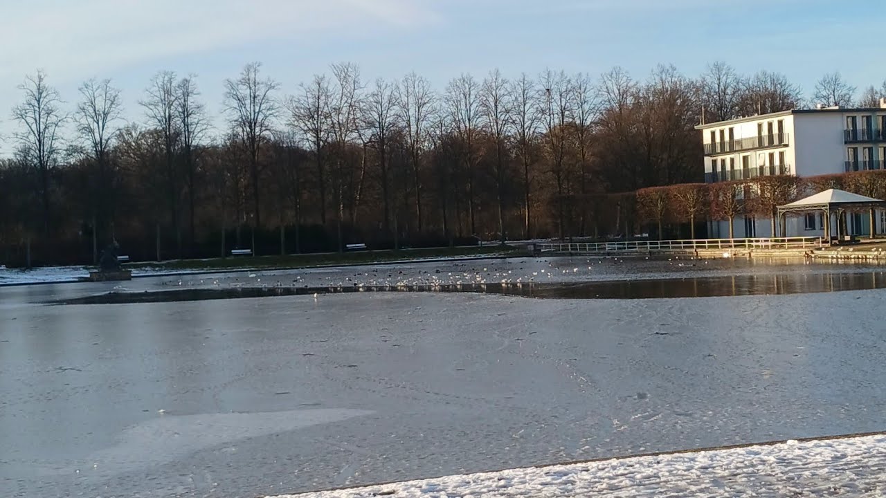 Frozen Lake Vibes  live,chat with me #germany #snow #europeantravel 