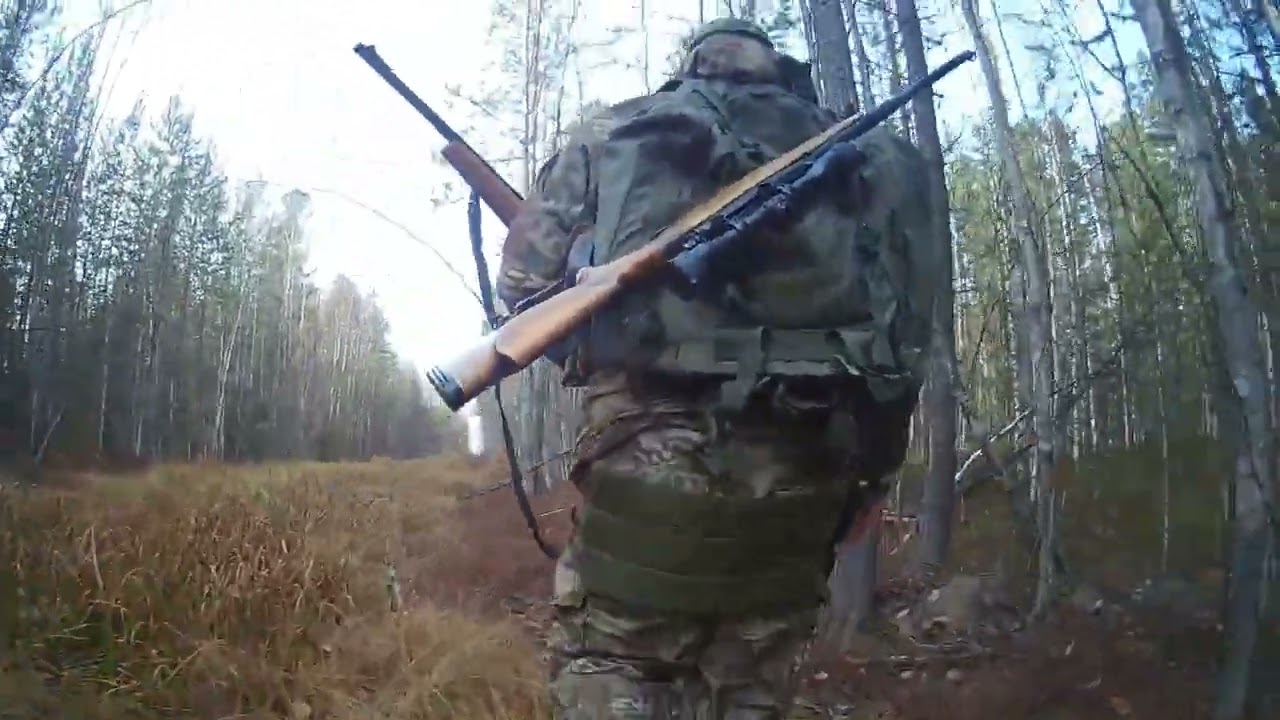 Территория Свободы | ХМАО | Охота - на боровую, обнаглевшая лиса, Гос.инспектор природнадзора.