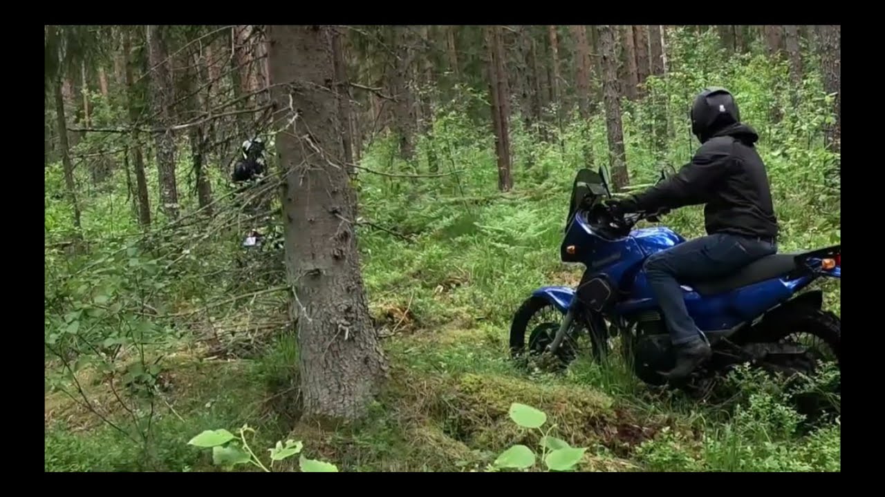 KLE 500, DL 800DE, Adventure 1050 and DL650 left the asphalt road