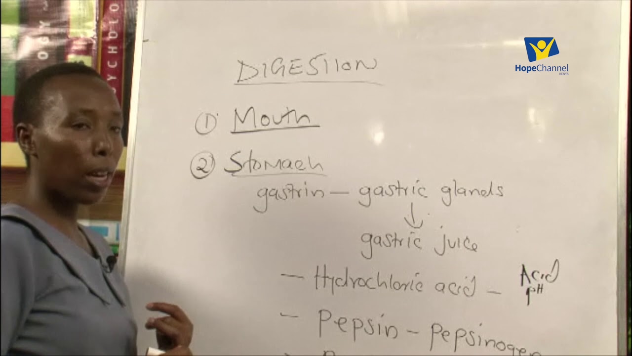 BIOLOGY: Digestion