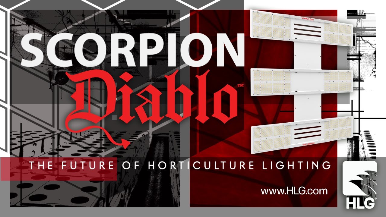 HLG Scorpion Diablo