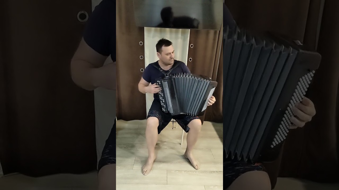 ДДТ 