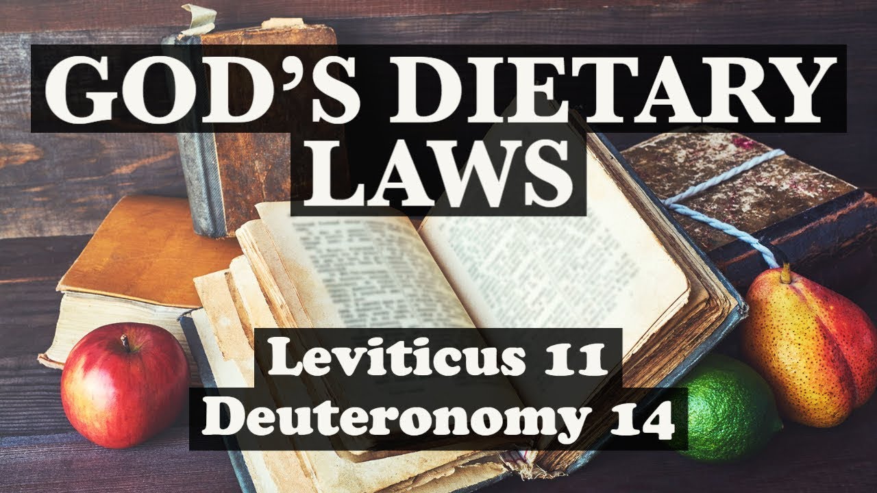 Dietary Law: Holiness Code 1 of 2
